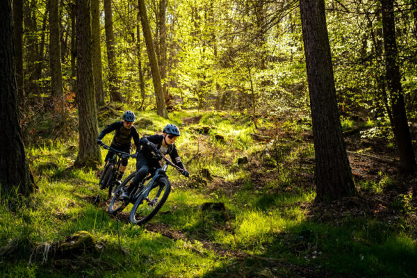 Mountainbiken im Wald