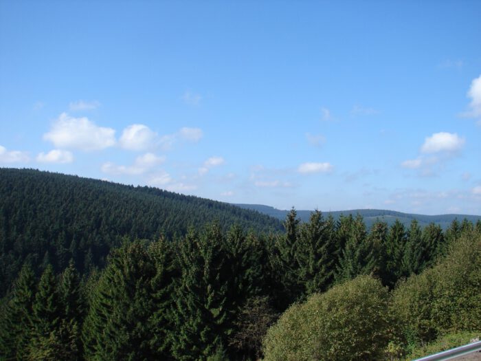 Blick vom Balkon aus in die Natur