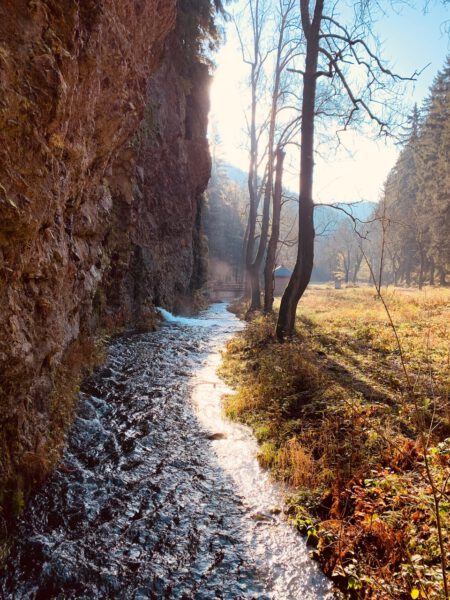 romantischer Wasserlauf im Wald